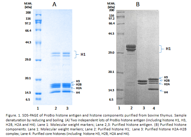 Histones