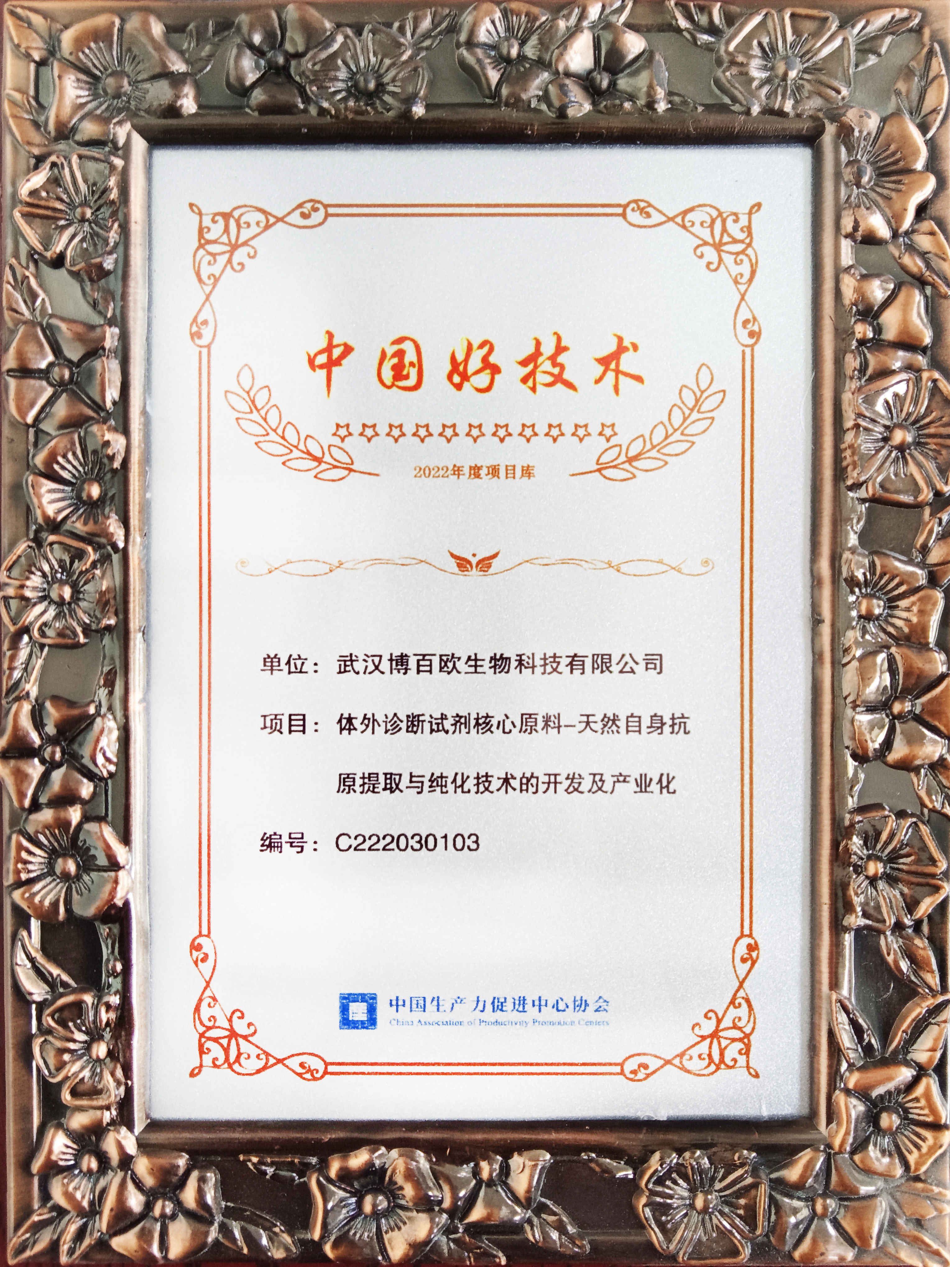 资质证书