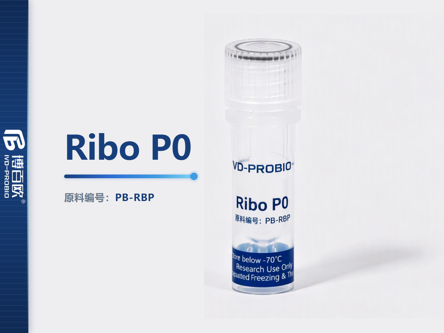 Ribo P0 *