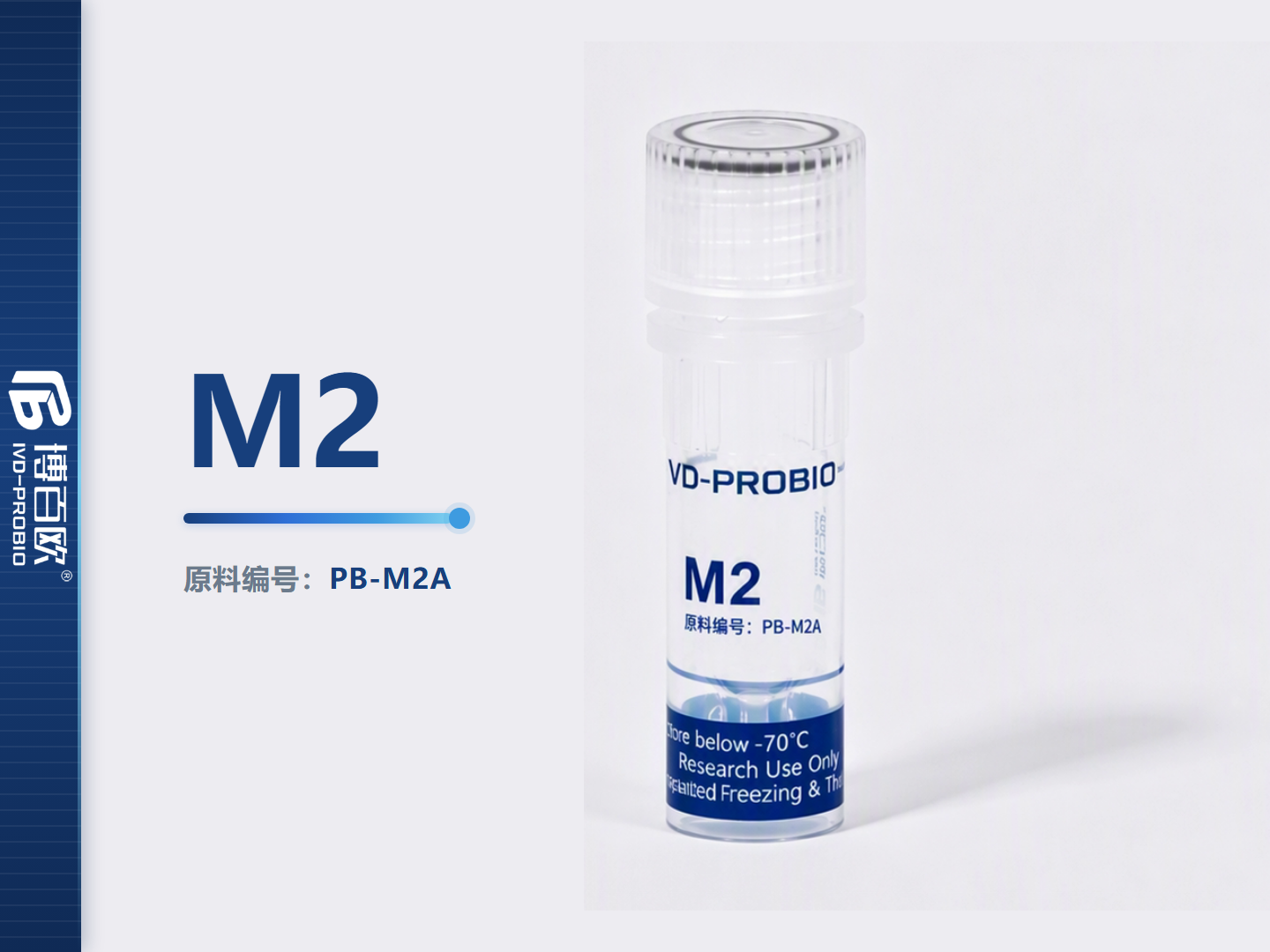 M2 *