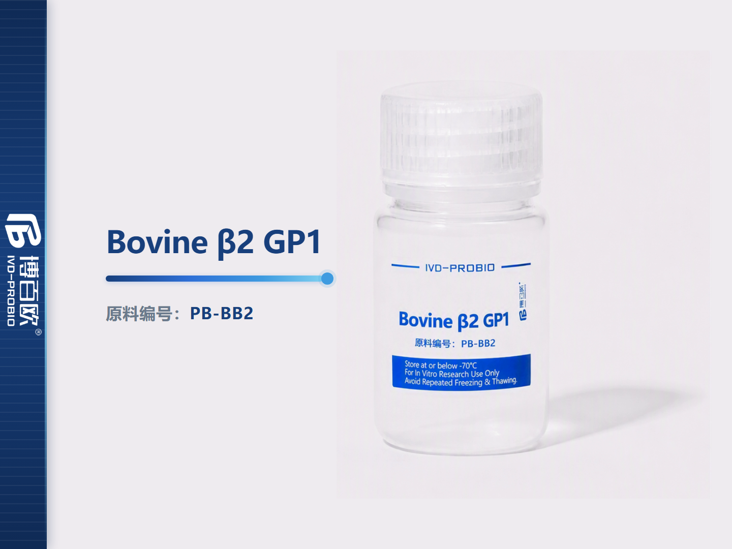 Bovine β2 GP1